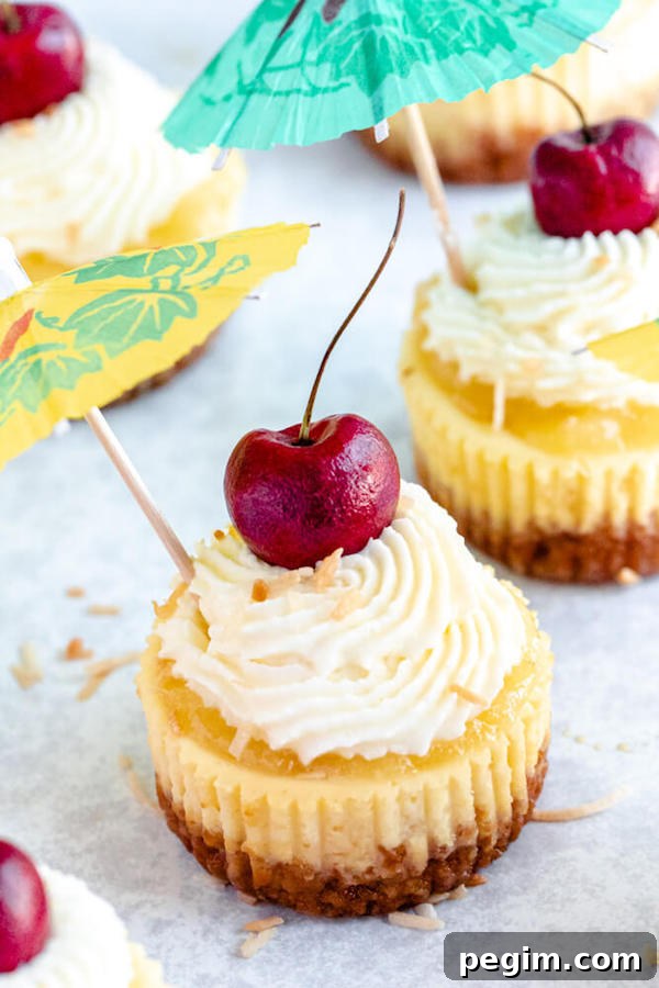 mini piña colada cheesecakes with pineapple sauce, coconut whipped cream, toasted coconut and a cherry on top.