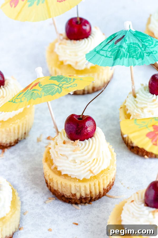 mini piña colada cheesecakes with pineapple sauce, coconut whipped cream, toasted coconut and a cherry on top.