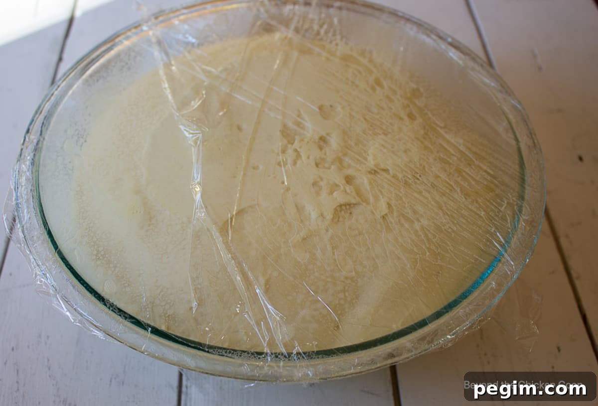 Soft Homemade White Wheat Bread Recipe 5 Bread dough risen to the top of the bowl.