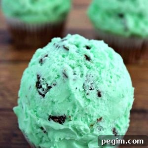 Mint Chocolate Chip Cupcakes