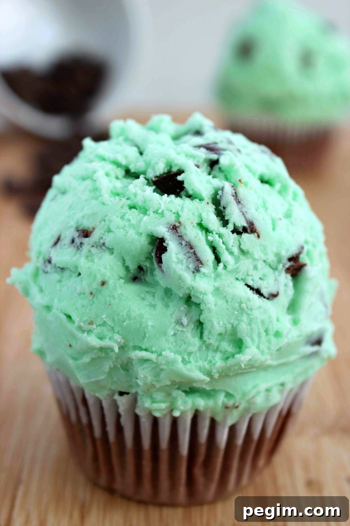 Mint Chocolate Chip Cupcake Recipe with Chocolate Frosting 4 Mint Chocolate Chip Cupcakes