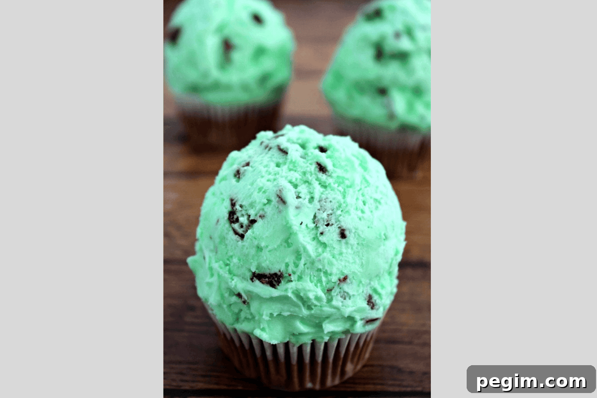 Mint Chocolate Chip Cupcake Recipe with Chocolate Frosting 5 Mint Chocolate Chip Cupcakes hero